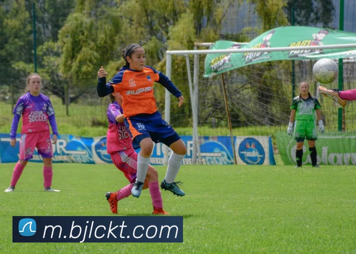 App Interface Preview